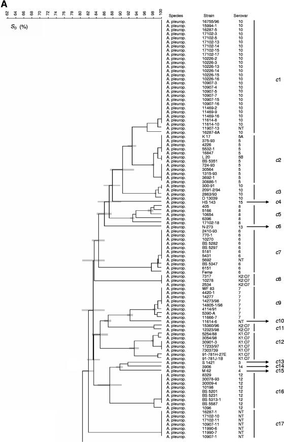 FIG. 1.