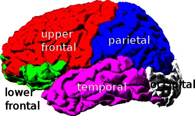 Fig. 17