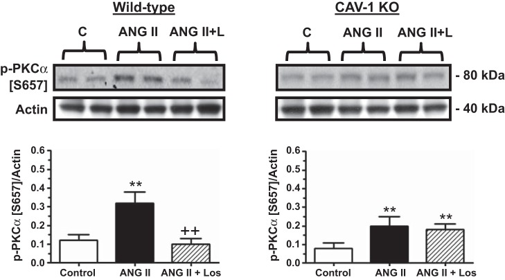 Fig. 11.