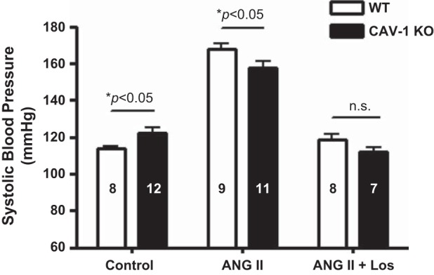 Fig. 8.