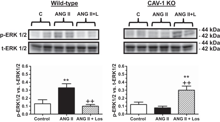 Fig. 12.