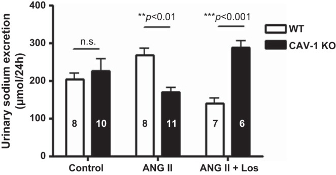 Fig. 10.