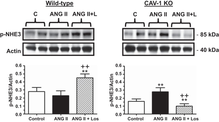 Fig. 13.