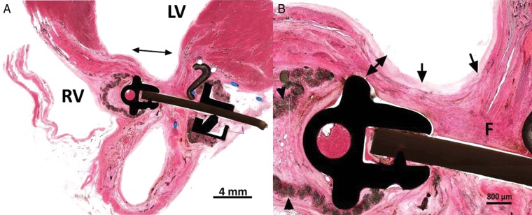 Figure 5: