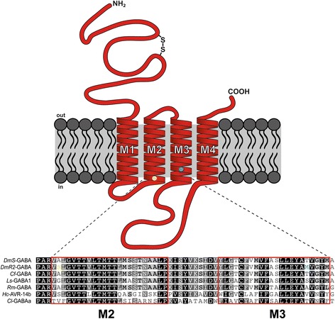 Fig. 2