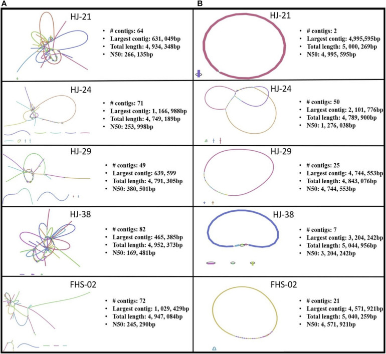 FIGURE 3