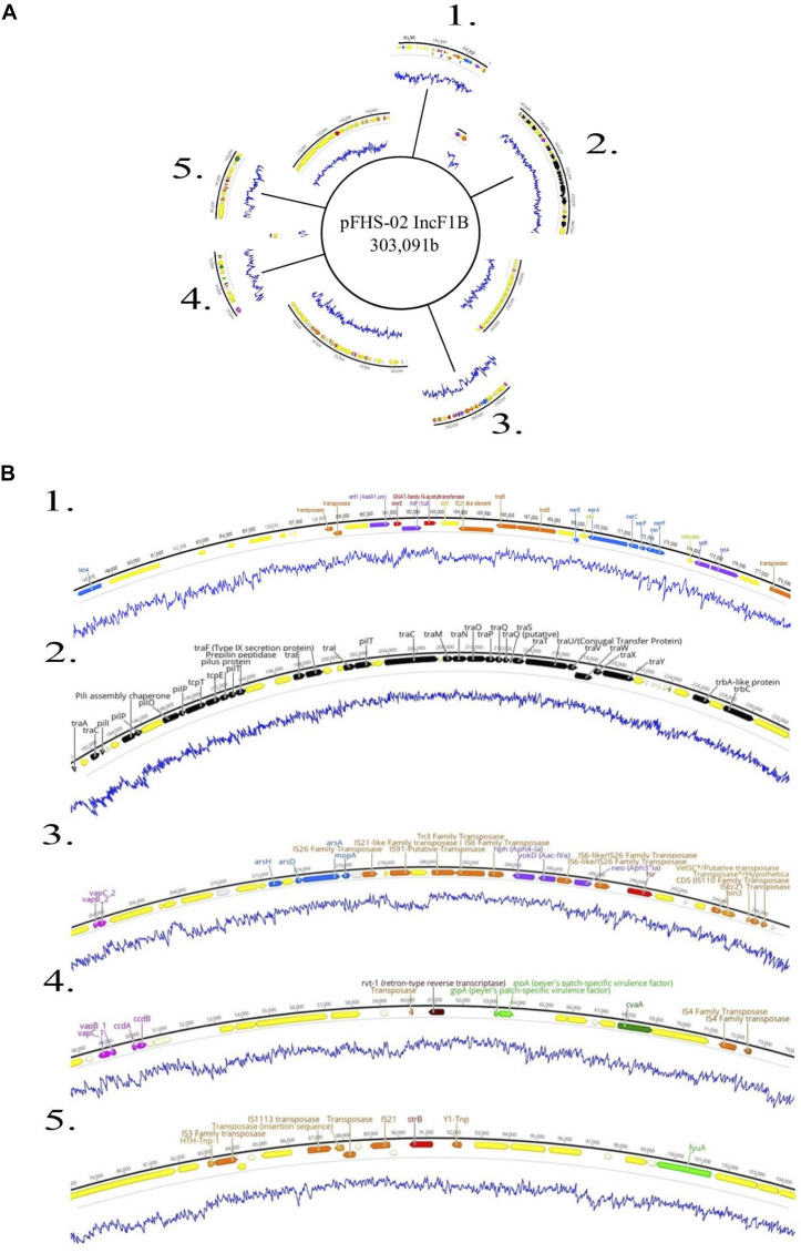 FIGURE 5