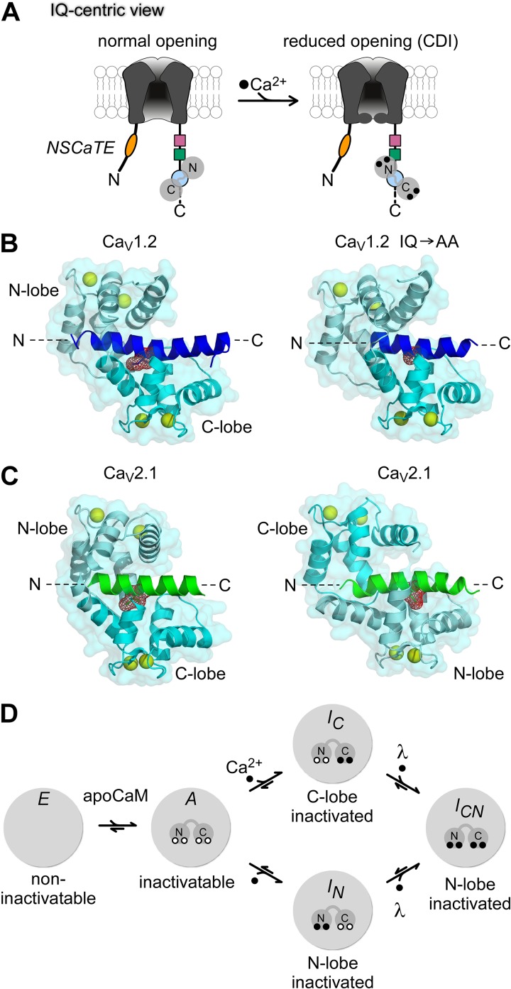 Figure 3.