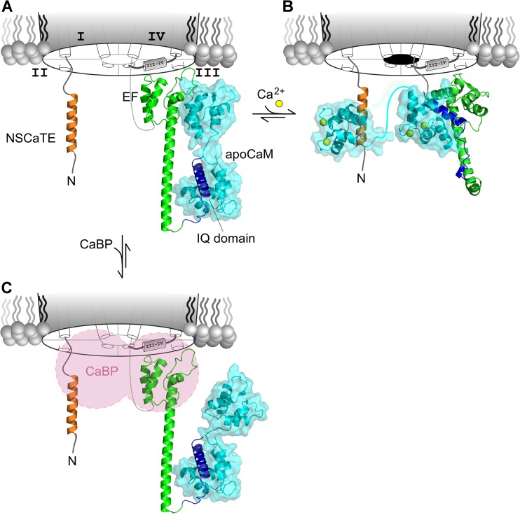 Figure 5.