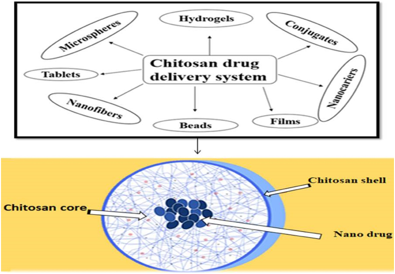 Figure 10