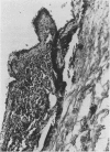 259