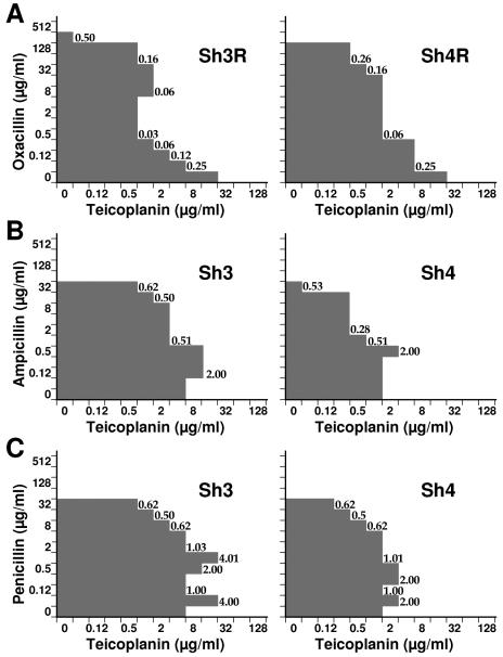 FIG. 1.