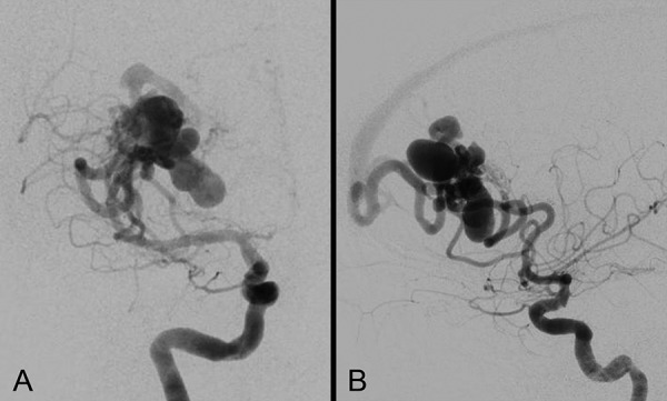 Figure 3