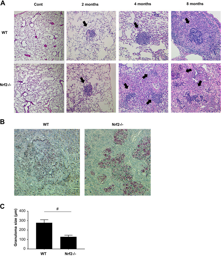 FIG 2