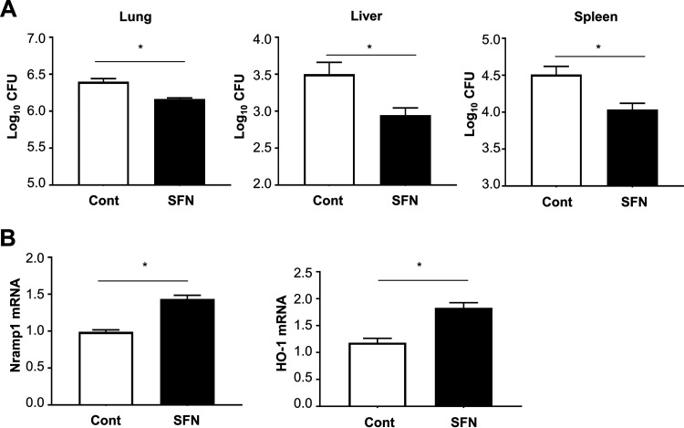 FIG 6