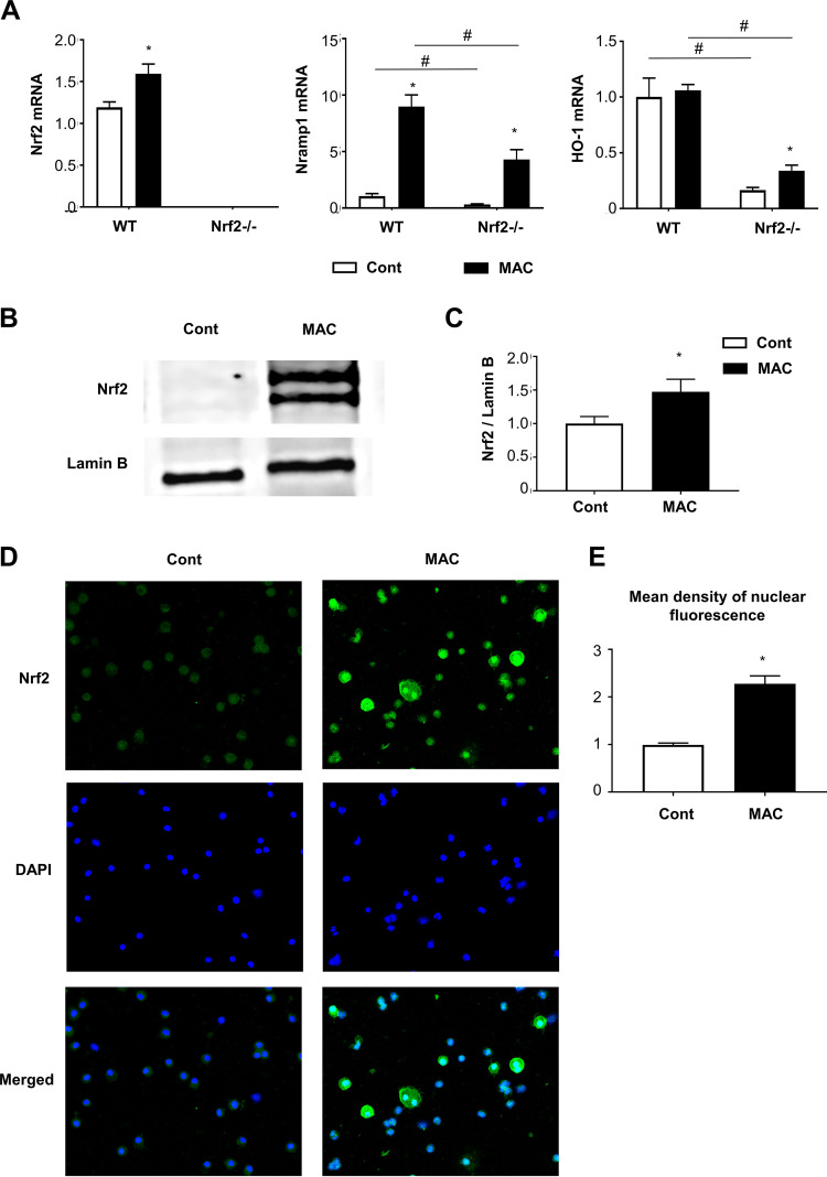 FIG 4