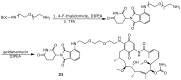 Figure 24