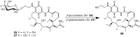 Figure 21