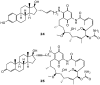 Figure 20