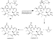 Figure 23