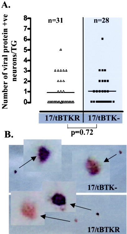 FIG. 8.