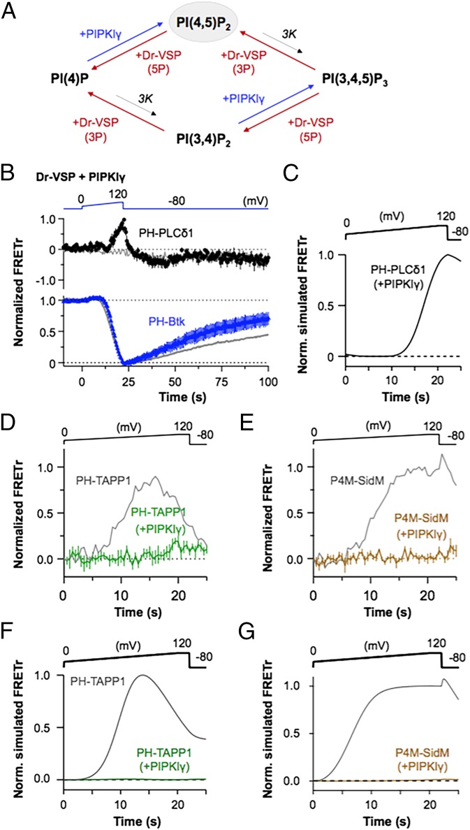 Fig. 4.