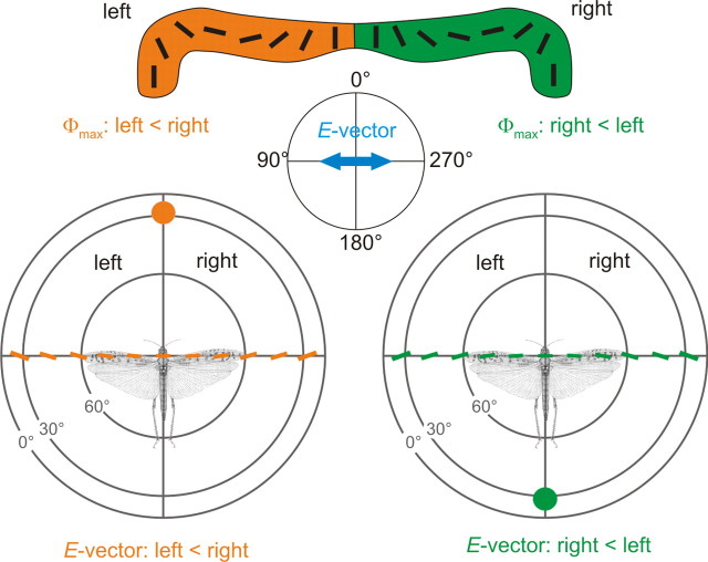 Figure 8.