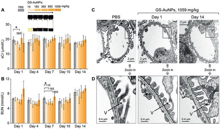 Figure 12.