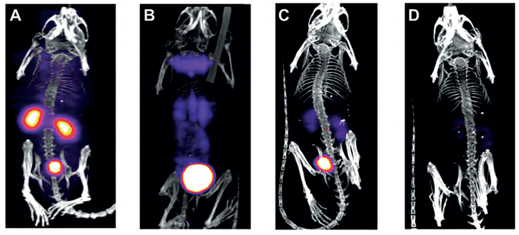 Figure 14.