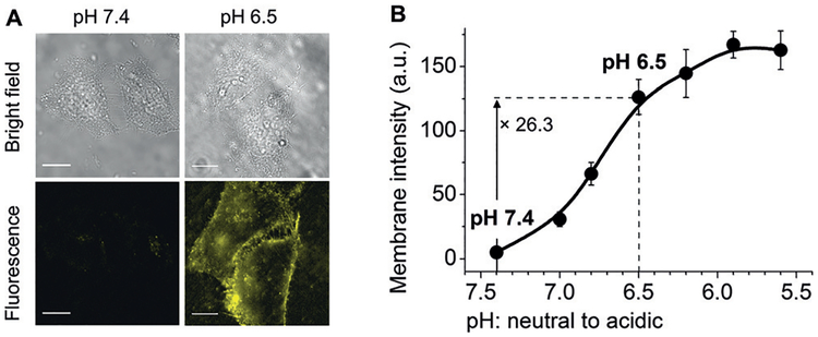 Figure 11.