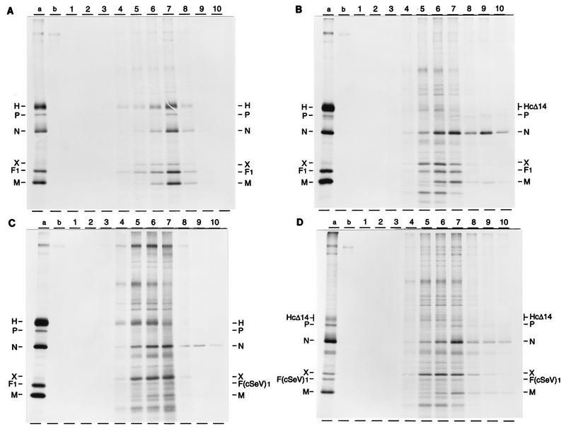 FIG. 7