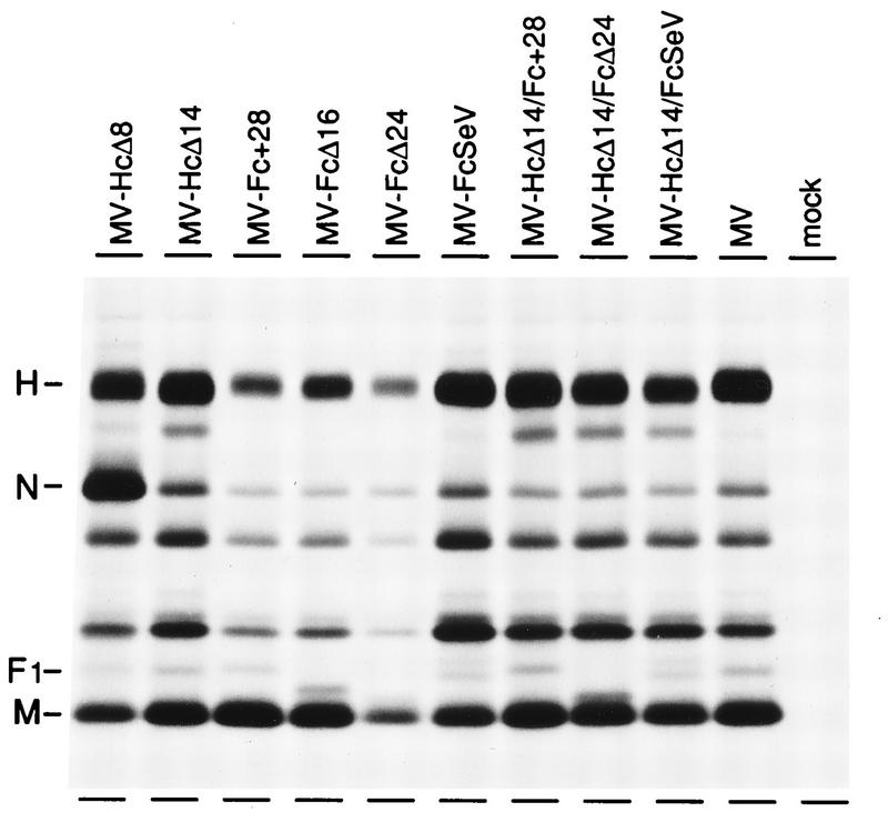 FIG. 3