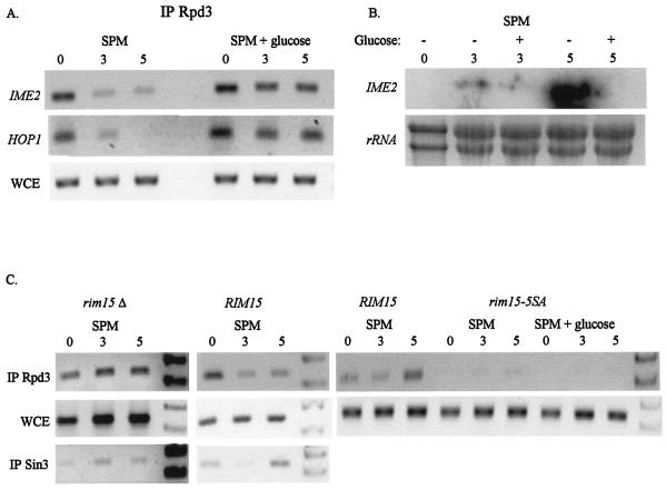 FIG. 7.