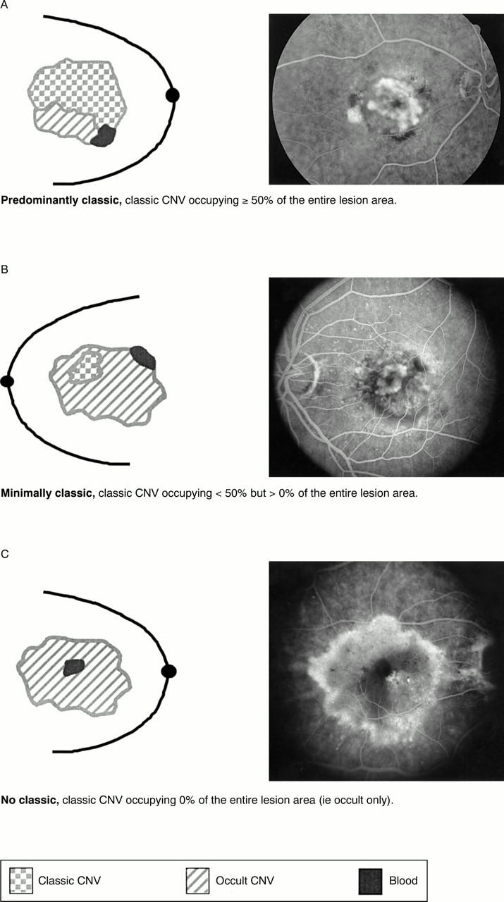 Figure 3  