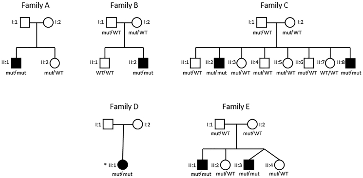 Figure 1