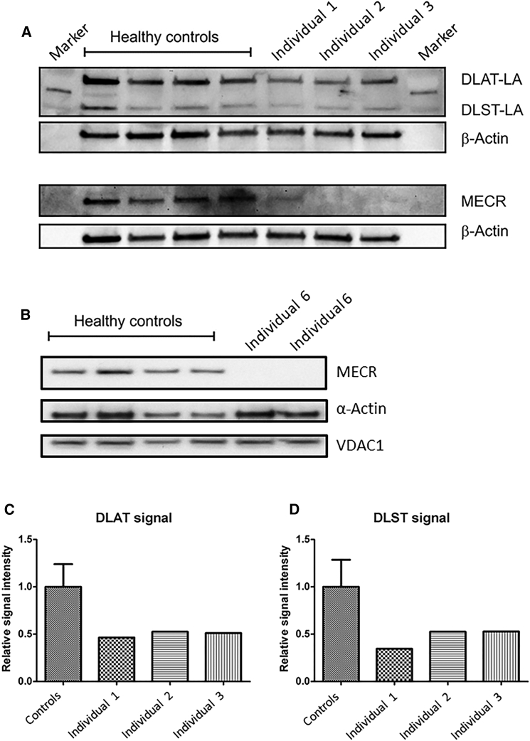 Figure 5