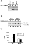 FIG. 7