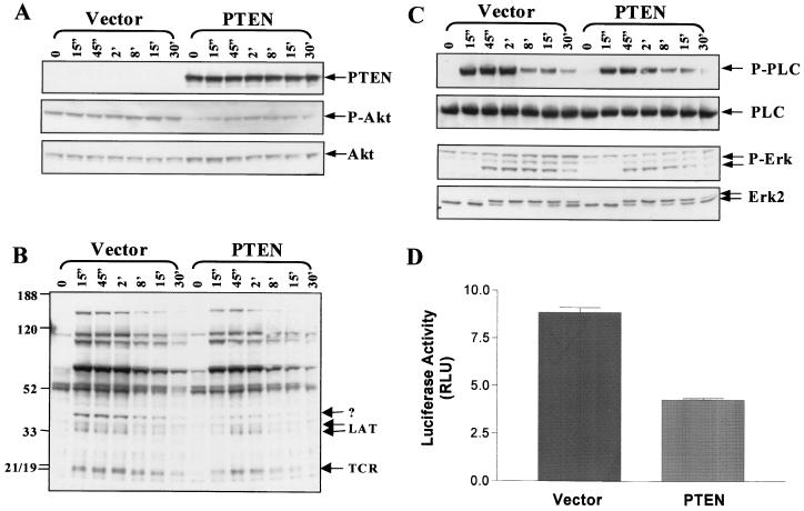 FIG. 8