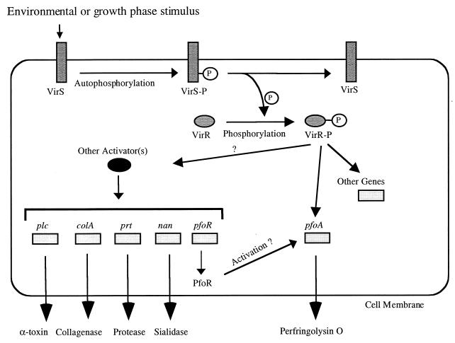 FIG. 8