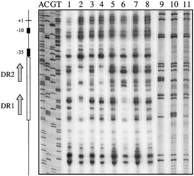 FIG. 7