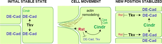 Figure 9.