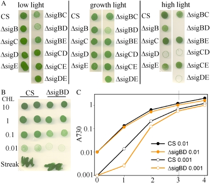 Figure 4.