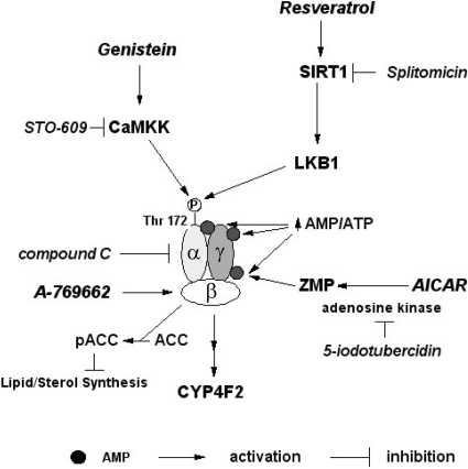 Fig. 11.