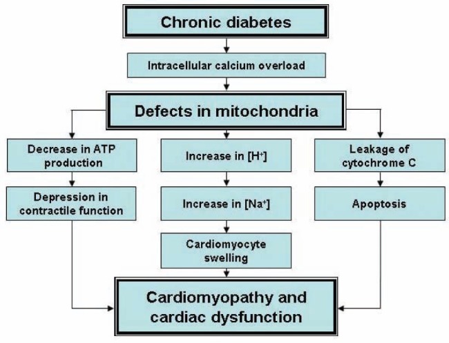 Figure 2)