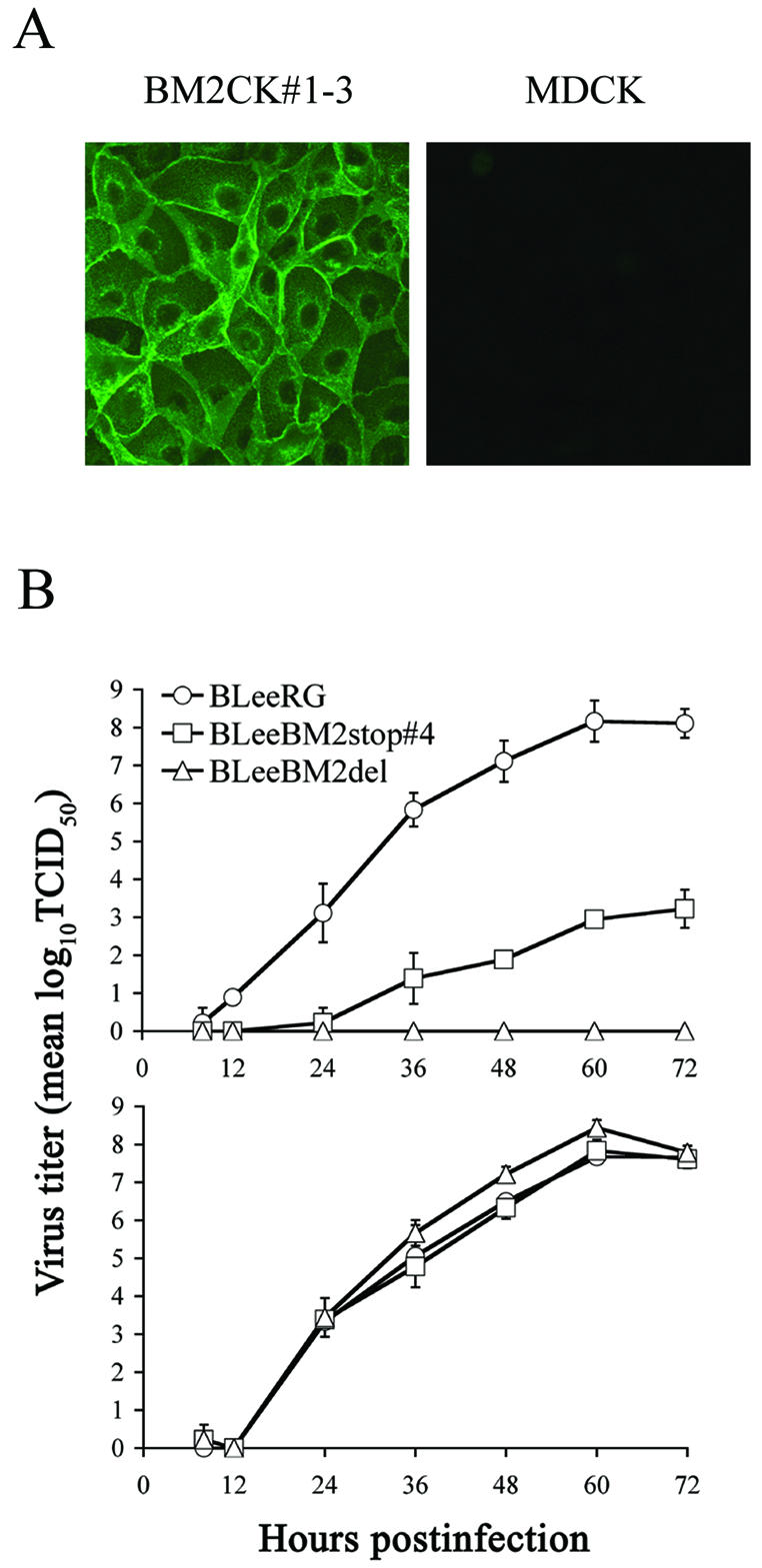 FIG. 6.