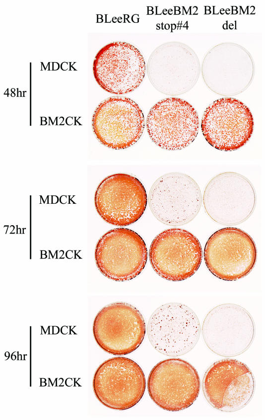 FIG. 7.