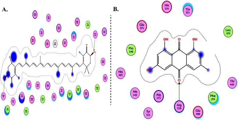 Fig. 11