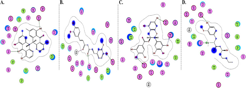 Fig. 13