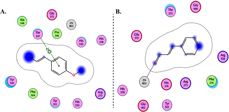 Fig. 12