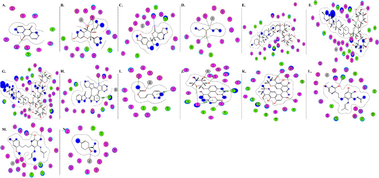 Fig. 14